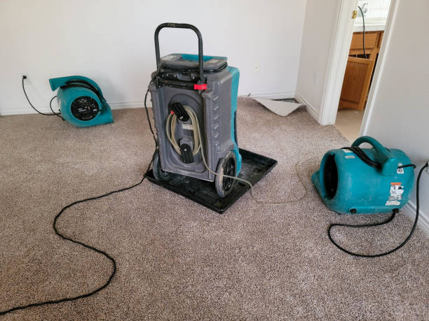 Best Residential water damage restoration  in Lexico, CA