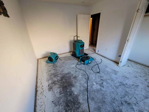  Lexico, CA Water damage restoration Pros