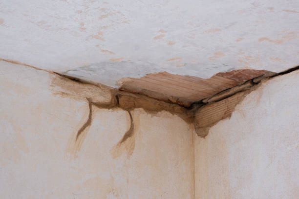 Best Mold removal after water damage  in Lexico, CA