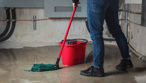 Best Sewage cleanup and water damage restoration  in Lexico, CA