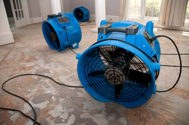 Best Flood restoration services  in Lexico, CA