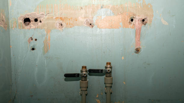Best Fire Damage Restoration  in Lexico, CA