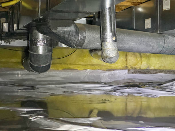 Best Local water damage restoration  in Lexico, CA