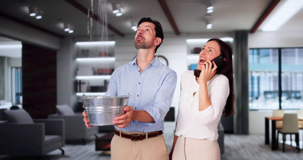Best Fire Damage Restoration  in Lexico, CA