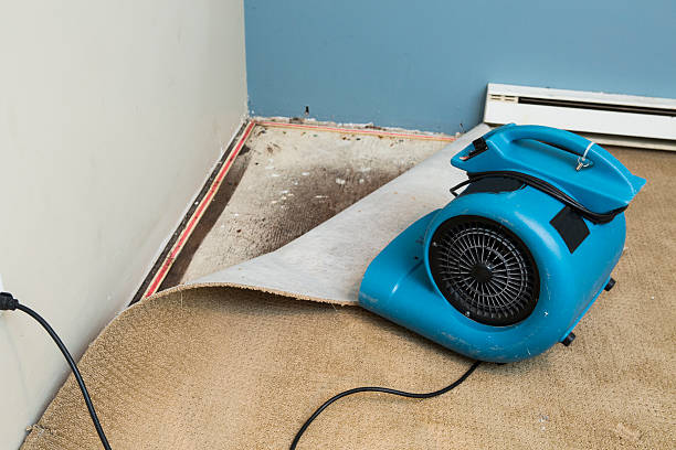 Best Water damage restoration process  in Lexico, CA